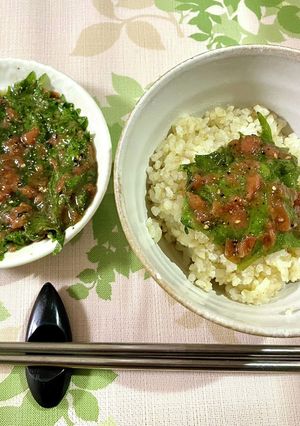 大葉梅のご飯泥棒漬け-レシピのメイン写真