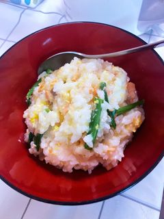 美味しすぎた鮭と卵とほうれん草のお粥-レシピのメイン写真