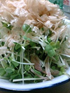 かいわれ大根とミョウガのかつぶし和え♪-レシピのメイン写真