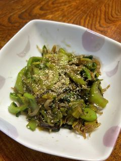 ご飯のお供に!高菜とシラス炒め-レシピのメイン写真