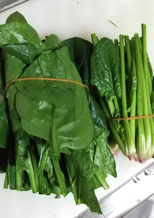 ほうれん草の洗い方(ズボラＶｅｒ)-レシピのメイン写真