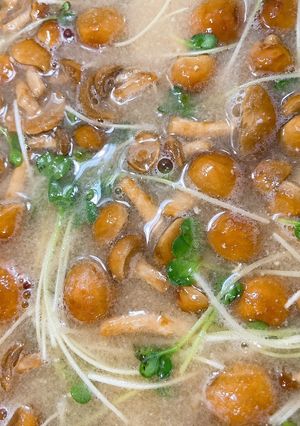 カイワレ大根となめこの味噌汁-レシピのメイン写真