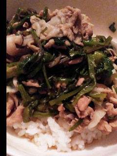 セリ豚丼-レシピのメイン写真