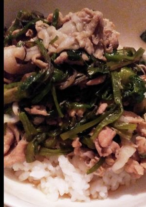セリ豚丼-レシピのメイン写真