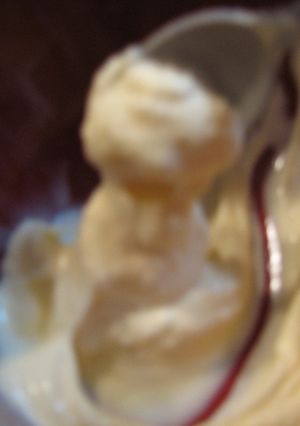 裏わざ★トルコアイス-レシピのメイン写真