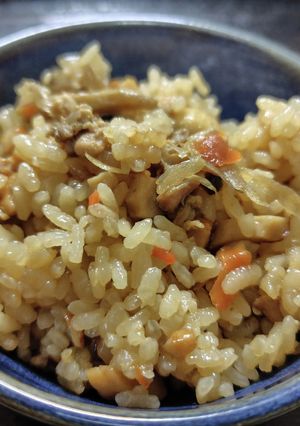 牛蒡香る!味ごはん-レシピのメイン写真
