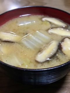 白菜と椎茸の味噌汁-レシピのメイン写真