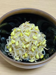 豆もやし様 豆もやし水産と世界一平和な侵略者のセット | スタチュー