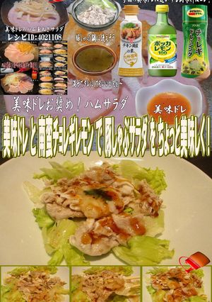 美味ドレ南蛮チョレギレモン豚しゃぶサラダ-レシピのメイン写真