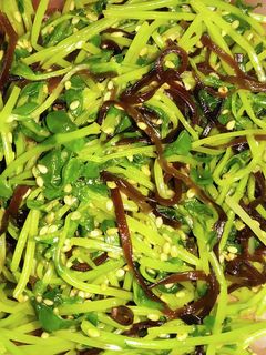 豆苗の塩昆布和え-レシピのメイン写真