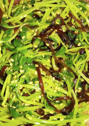 豆苗の塩昆布和え-レシピのメイン写真
