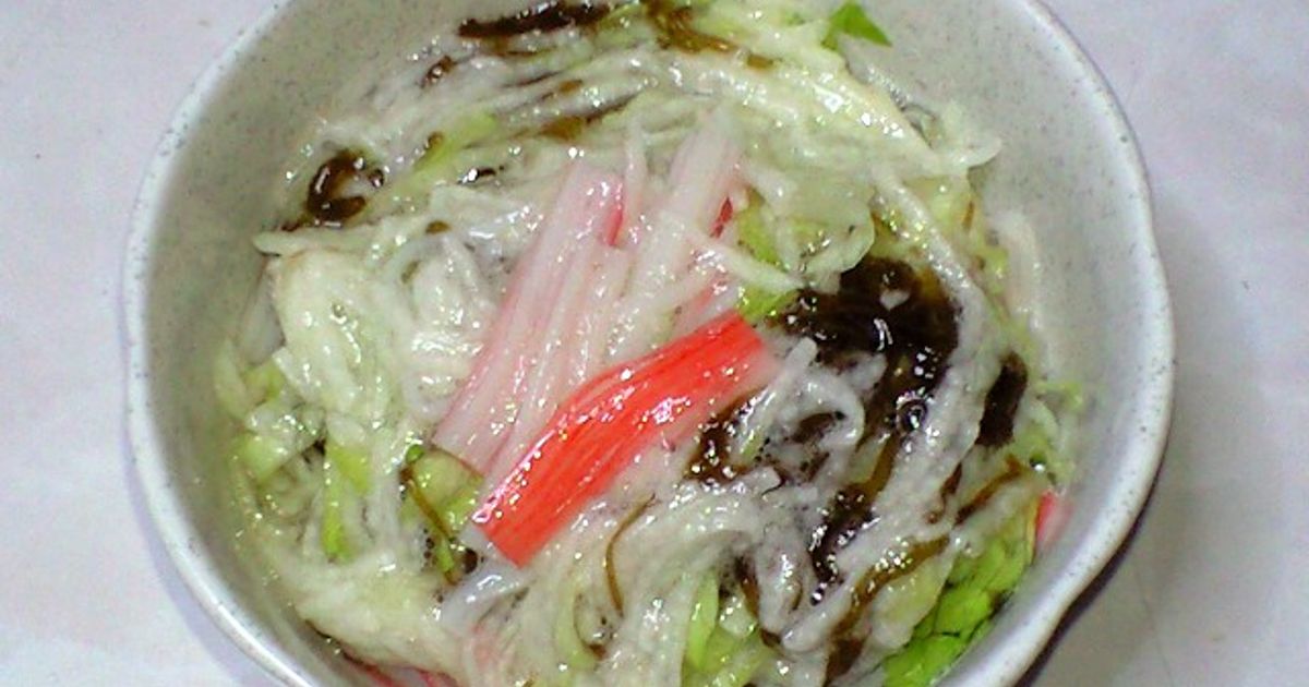 もずくページ ZX-6R 24～ Z-レーシングスクリーン ダークスモーク プーチ | バイク