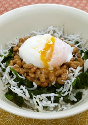 ぱく増し!しらす納豆卵丼-レシピのメイン写真