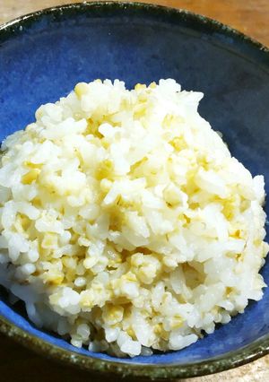 スチールカットオートミール入りご飯-レシピのメイン写真