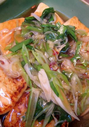 豆腐のピリ辛ねぎあんかけ-レシピのメイン写真