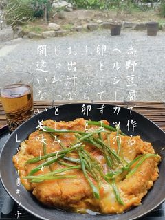 ☆高野豆腐のヘルシーカツで卵とじ☆-レシピのメイン写真