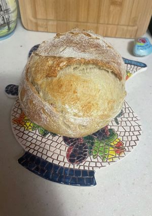 Sourdough bread-レシピのメイン写真