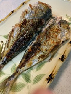 あじの塩焼き-レシピのメイン写真