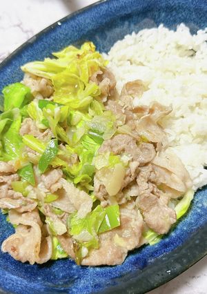 キャベツもたっぷり！ネギ塩豚丼-レシピのメイン写真