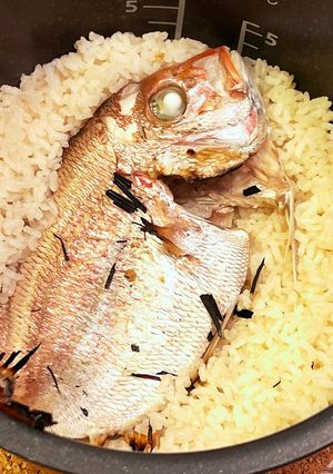 炊飯器で作る鯛めし-レシピのメイン写真