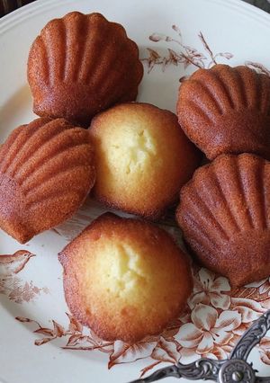 しっとり食感！米粉マドレーヌ-レシピのメイン写真
