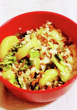 “納豆べったら大根漬け物サニーレタス丼”-レシピのメイン写真
