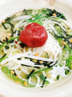いろいろあった日はお茶漬け麺。(米粉麺)-レシピのメイン写真