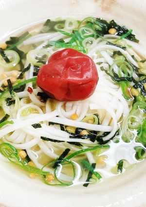いろいろあった日はお茶漬け麺。(米粉麺)-レシピのメイン写真