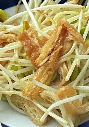 青森発♡長〜いねぶた大豆もやしの炒め物-レシピのメイン写真
