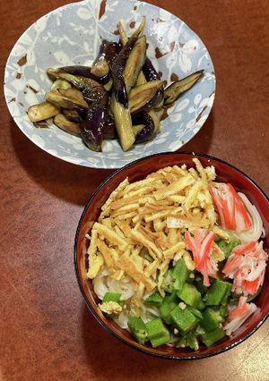 夏の冷やしそうめん(うどん)-レシピのメイン写真