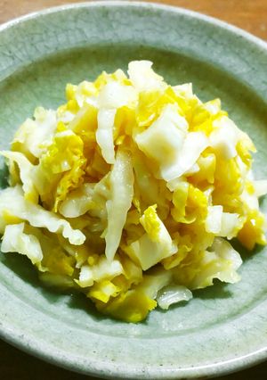 塩だけ乳酸発酵白菜漬けヨーグルトメーカー-レシピのメイン写真