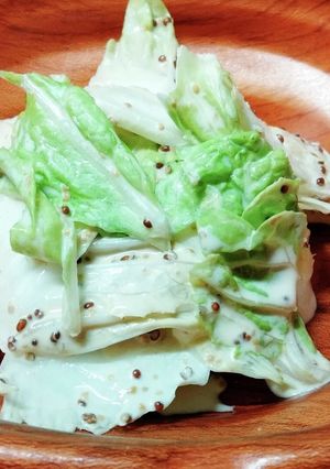 白菜のマヨマスタード和え-レシピのメイン写真