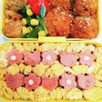 スパム(おにぎりになる予定だった)弁当