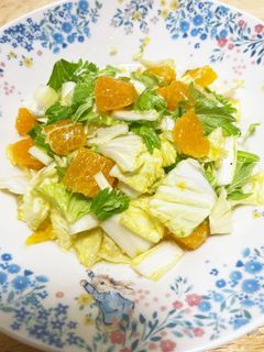 \白菜とみかんのセロリサラダ/-レシピのメイン写真