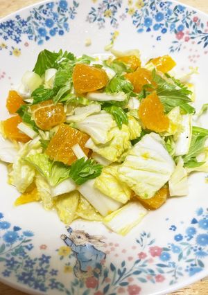 \白菜とみかんのセロリサラダ/-レシピのメイン写真