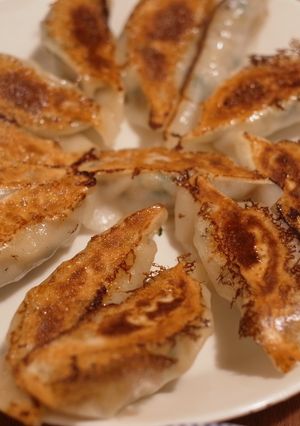 たどり着いた白菜の餃子-レシピのメイン写真