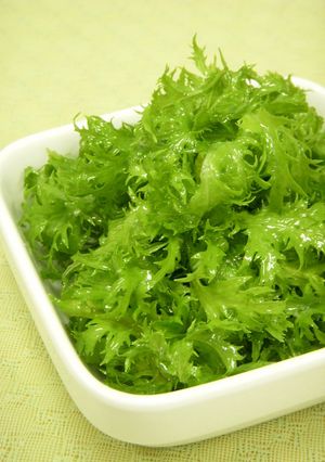 わさび菜のナムル-レシピのメイン写真