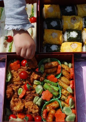 花見弁当☆2009-レシピのメイン写真