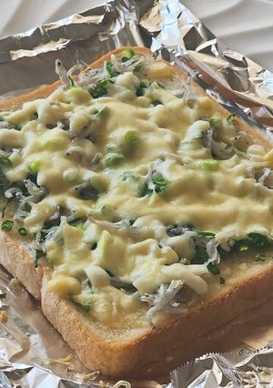 ネギたっぷり☆食パン☆チーズしらす☆朝飯-レシピのメイン写真