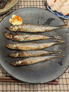 ししゃも焼き記録-レシピのメイン写真