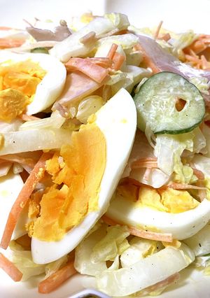 しゃきしゃき白菜のコールスロー風-レシピのメイン写真