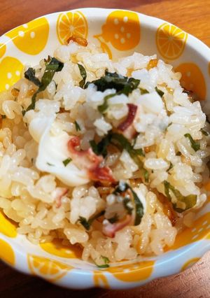 タコ飯(無水鍋QC使用)-レシピのメイン写真
