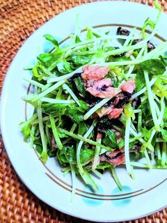 豆苗とツナと塩昆布のマヨぽんサラダ-レシピのメイン写真