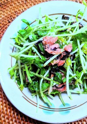 豆苗とツナと塩昆布のマヨぽんサラダ-レシピのメイン写真