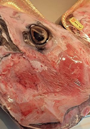 マグロの兜、カマ焼-レシピのメイン写真
