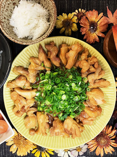 鶏肉とネギのどっさり煮-レシピのメイン写真