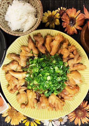 鶏肉とネギのどっさり煮-レシピのメイン写真