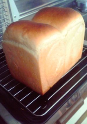 ふわんふわん中力粉入りの玄米ぱん-レシピのメイン写真
