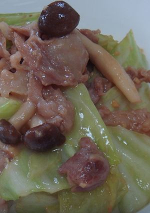 ランチに☆簡単豚こまキャベツ丼-レシピのメイン写真