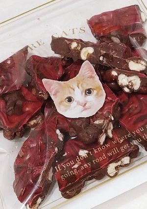 バレンタイン☆すぐできる！サクサクチョコ-レシピのメイン写真